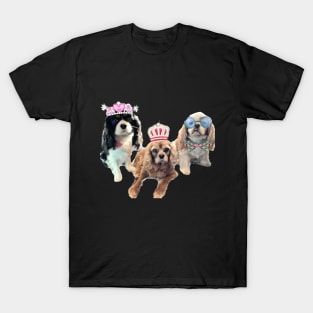 The 3 amigos, bff cavaliers T-Shirt